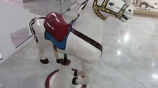 Снимка на деня: Подстрижка върху кон
