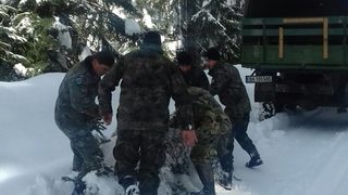 Фотогалерия: В снега