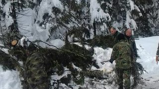 Фотогалерия: В снега