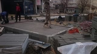 Бетонираните дървета във Варна бяха разчистени след публикации в медиите