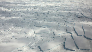 <span class="highlight">Климатолози</span> са притеснени от рекордните горещини в Аляска
