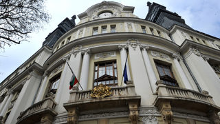Фотогалерия: Какво се случва с горите след 140 г. работа на горската служба