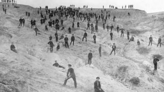 Фотогалерия: Какво се случва с горите след 140 г. работа на горската служба