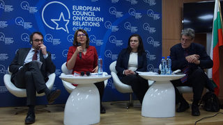 "Може за пръв път да имаме избори за Европарламент" или как да се отговори на популистите