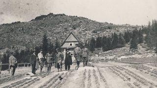 Събитията за Седмицата на гората тази година се заменят с онлайн конкурси