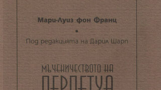 Юнг и последователите