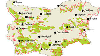 Комисията по петициите в ЕП пак размаха пръст на България