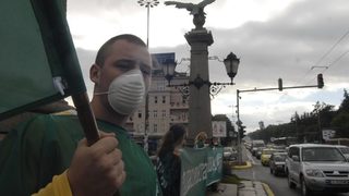 Еколози пробваха да сложат кислородни маски на орлите на Орлов мост