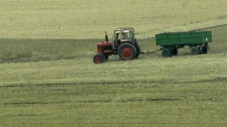 Над 34 хил. декара от държавния поземлен фонд в Добричко ще се отдават под аренда