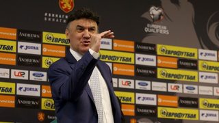 Борислав Михайлов: Изваждането на "Верея" няма да се отрази на футболния съюз