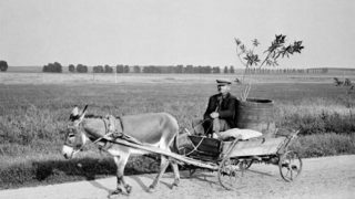 Фотогалерия: България от 40-те <span class="highlight">и</span> 50-те години през обектива на Тодор Славчев