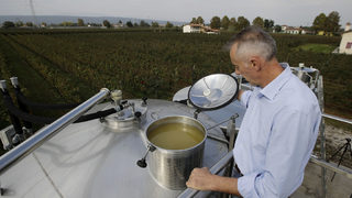 И <span class="highlight">ЮНЕСКО</span> оцени качествата на Просеко