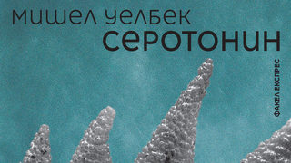 Откъс от "Серотонин" на Мишел Уелбек
