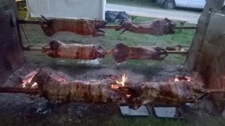 Спешни мерки