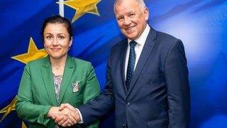 EС отпуска на България почти 3 млн. евро за справяне с чумата по свинете