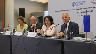 Нови прасета в засегнатите от чумата стопанства - най-рано през следващия септември