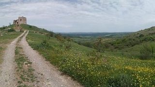В Беласица, Сакар и Странджа ще се чества денят на Зеления пояс