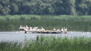 В четвъртък ще е последното обсъждане на изключването на площи от парк "<span class="highlight">Персина</span>"