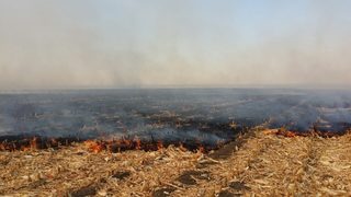 Общо 17 запалени стърнища за денонощие въпреки глобите и забраните