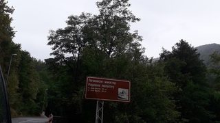 Български покрайнини, Сърбия