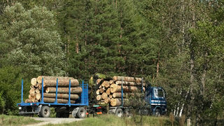 <span class="highlight">Екосдружение</span> протестира против изсичането на вековни гори в Стара планина
