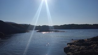 Свръхуловът и делфините са основни теми на Деня на Черно море тази година