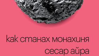 Откъс от "Как станах монахиня" на Сесар Айра
