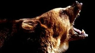 Борсата преследва рекордно ниски стойности