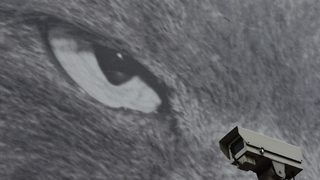 "Търсене по външност" - в <span class="highlight">Марбея</span> видеонаблюдението се заиграва със закона