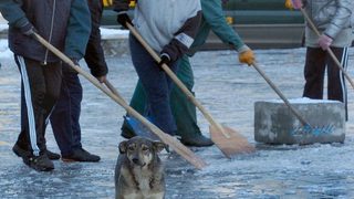 Положението остава бедствено в пет области