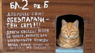 Софийският Гарфилд