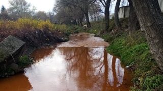 Струма потече червена при Перник, алармираха природозащитници