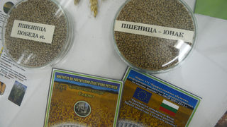 Slow Food ще покаже на практика каква алтернатива са растителните храни