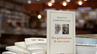 Папа Бенедикт поиска името му да се махне от книга, разбунила църквата