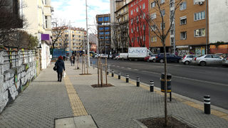 Над 100 дървета ще се изсекат заради метрото към кв. "Слатина" и ремонта на бул. "Тодор Каблешков"