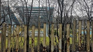 Кучетата ни нападнаха, пазачът не можеше да ги удържи