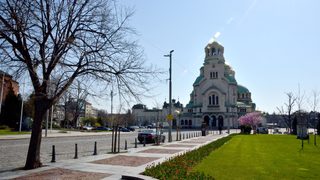 Фотогалерия: Цветница под карантина