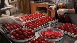 В Бачковския <span class="highlight">манастир</span> боядисаха 2020 яйца за Великден