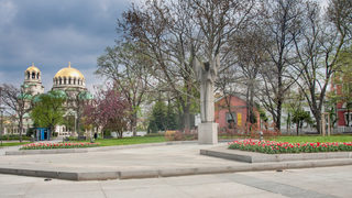 Фотогалерия: <span class="highlight">Лалета</span> в български цветове