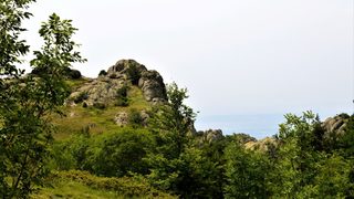 Фотогалерия: <span class="highlight">Карандила</span>