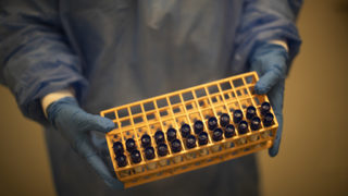 Коронавирусът по света: Отрицателният резултат от PCR тест рядко е грешен (хронология)