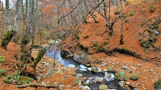 Фотогалерия: Водопад на Туфча, селата Ковачевица и  Лещен