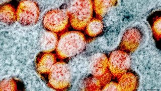 Нова мутация на коронавируса. Какви опасности крие тя