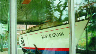 Сърцето на Карл 