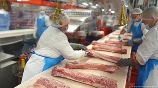Германия опитва да прекрати срамната експлоатация в кланиците