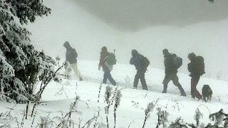 След обилното хапване по Коледа - разходка на Витоша