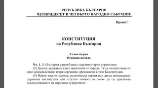 Икономиката няма нужда от безумия като "нова" конституция