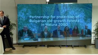 Защитата на старите гори в България получи престижната награда "Натура 2000"