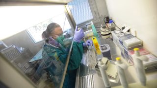 От Ухан до България - еволюцията на COVID-19, откъде дойде и кога заразява повече
