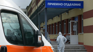 В Кърджали са регистрирани три случая на бруцелоза